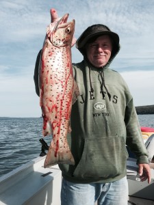 big brown trout owasco lake