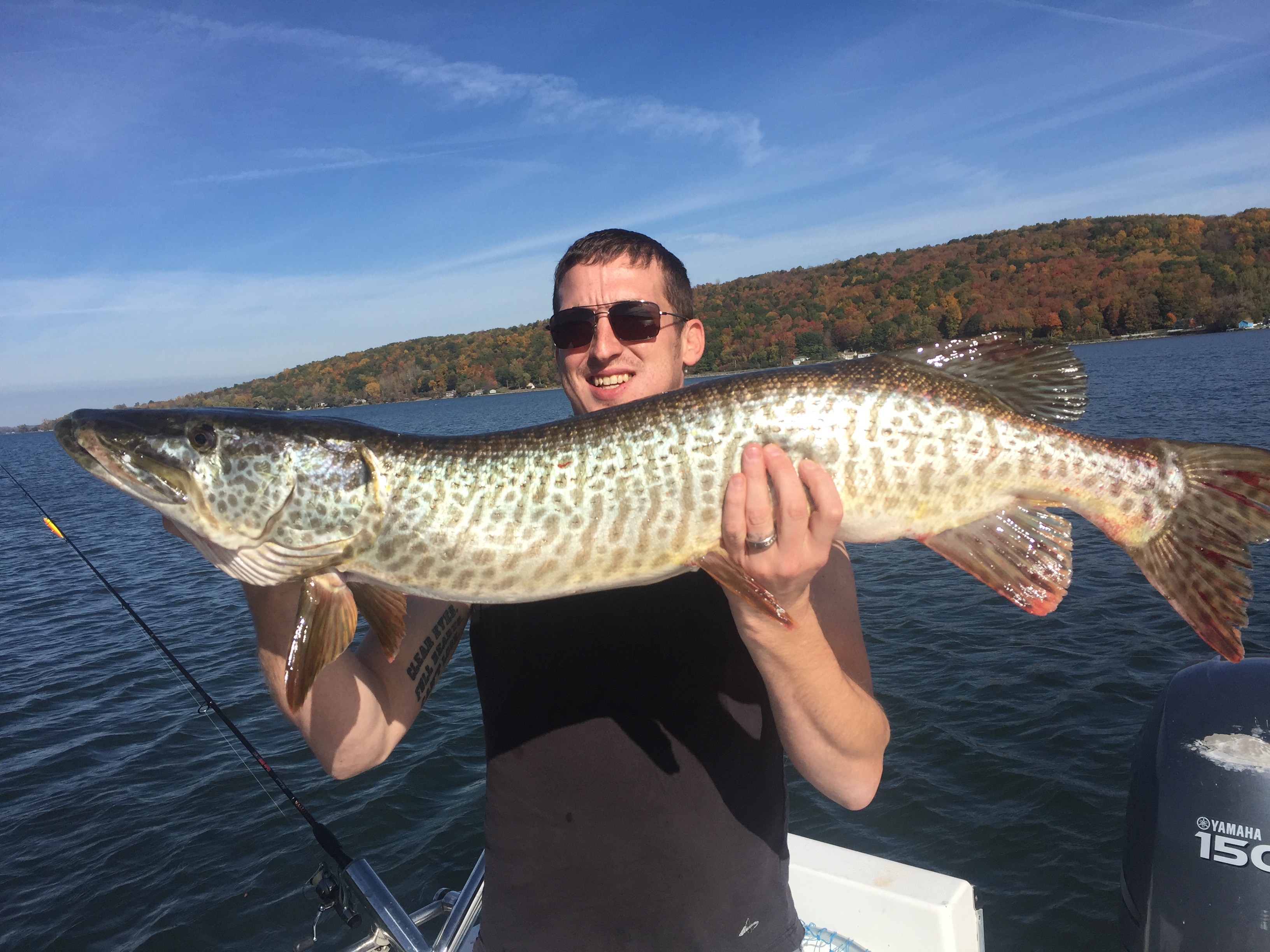 tigers muskie active on fingerlakes