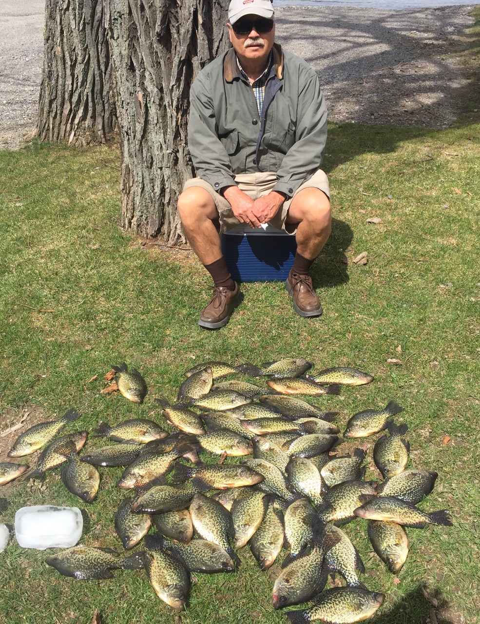 2019 Spring Crappie Charters